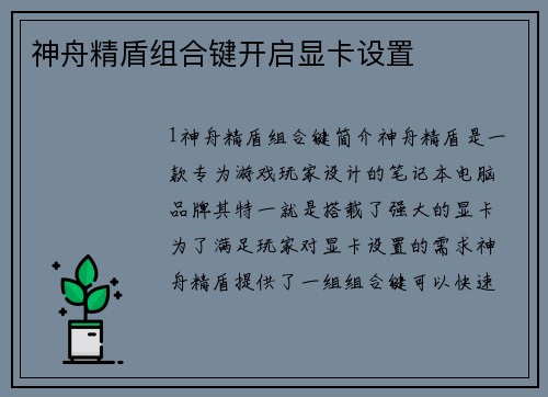 神舟精盾组合键开启显卡设置