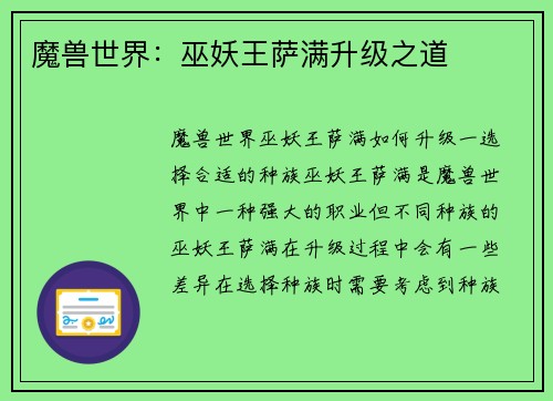 魔兽世界：巫妖王萨满升级之道
